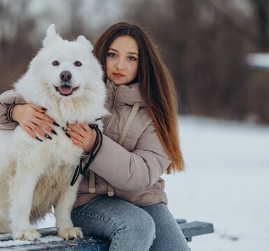 A girl walks with her beloved pet Samoyed in winter on the shore of a lake in the park.