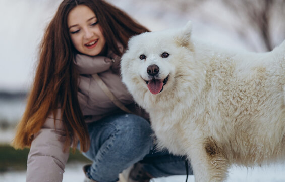 A girl walks with her beloved pet Samoyed in winter on the shore of a lake in the park.
