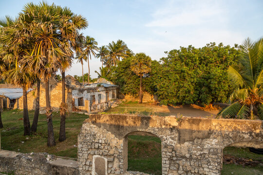 Old stone arches and ruined buildings among palm trees, Northern Province, Mannar, Sri Lanka