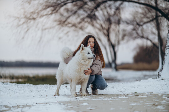 A girl walks with her beloved pet Samoyed in winter on the shore of a lake in the park.