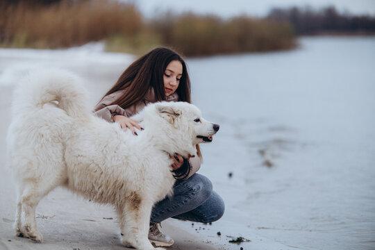 A girl walks with her beloved pet Samoyed in winter on the shore of a lake in the park.