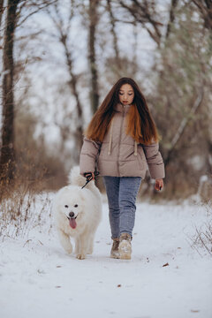 A girl walks with her beloved pet Samoyed in winter on the shore of a lake in the park.