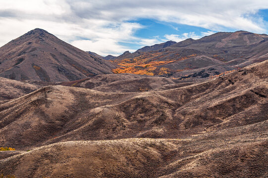 Arid Desert in Northern Nevada at sunrise during Autumn