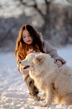 A girl walks with her beloved pet Samoyed in winter on the shore of a lake in the park.