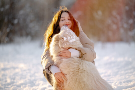 A girl walks with her beloved pet Samoyed in winter on the shore of a lake in the park.