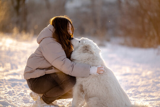 A girl walks with her beloved pet Samoyed in winter on the shore of a lake in the park.
