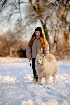 A girl walks with her beloved pet Samoyed in winter on the shore of a lake in the park.