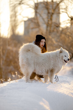 A girl walks with her beloved pet Samoyed in winter on the shore of a lake in the park.