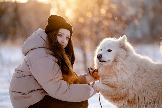 A girl walks with her beloved pet Samoyed in winter on the shore of a lake in the park.