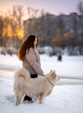 A girl walks with her beloved pet Samoyed in winter on the shore of a lake in the park.