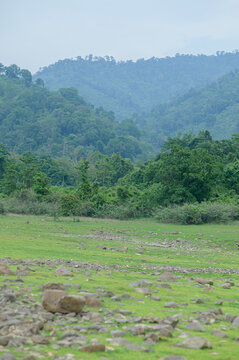 Serene Mountain Landscape with Lush Greenery and Rocky Terrain