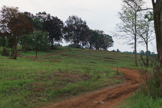 Scenic Landscape with Pathway in Yai Tourist Attraction Area