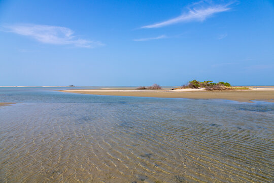 Clear shallow water and sandbanks with a small vegetated islet, Northern Province, Mannar, Sri Lanka