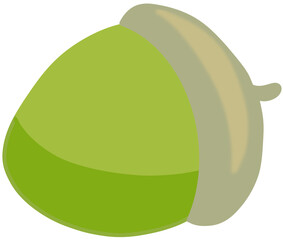 Cute Green Unripe Acorn Nut Vector Illustration © 정림 김