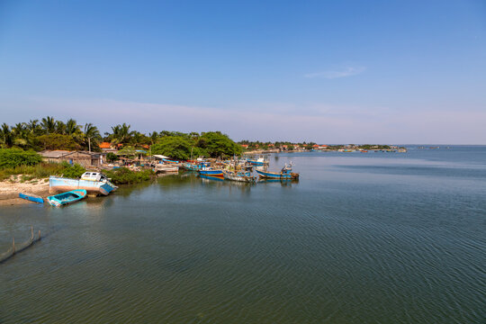 Fishing boats moored along a calm lagoon shore with palm trees, Northern Province, Mannar, Sri Lanka