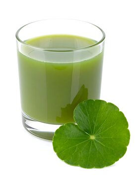 Glass of green gotu kola leaf juice glass on white background