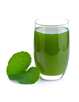 Green gotu kola leaf juice glass on white background