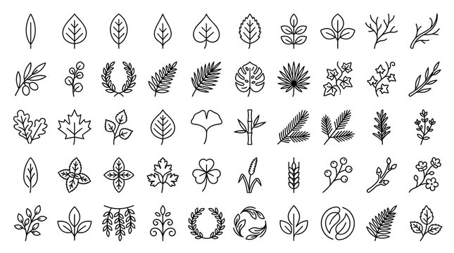 50 Minimal Botanical Outline Icons Featuring Leaves Twigs Olive Branches Ferns Herbs and Elegant Black Nature Symbols