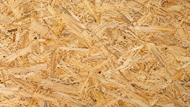 Raw Oriented Strand Board with Overlapping Golden Wood Chips