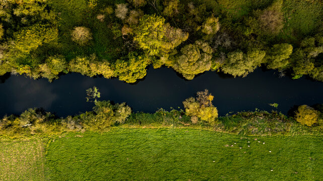 An aerial view of a calm river winding through lush green fields.