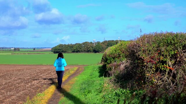 A crisp and sunny autumnal walk, in Sprotbrough.