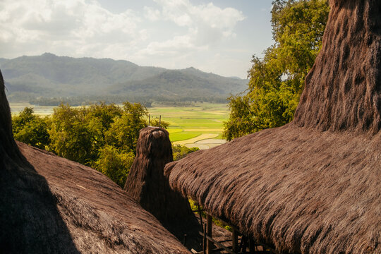 View of traditional thatched-roof houses in Waigalli village overlooking lush green rice fields and distant mountains under a bright sky in Waigalli, Nusa Tenggara Timur, Indonesia.