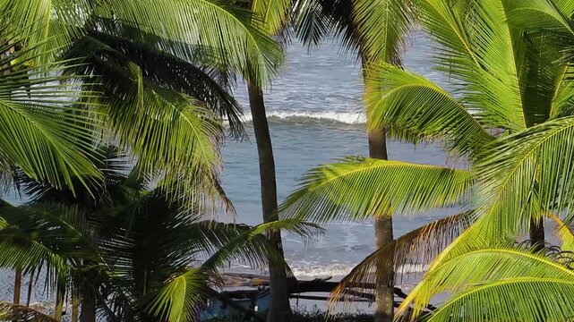 Ocean view through green palm leaves