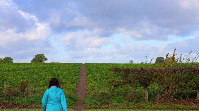 Sprotbrough's permissive path through the turnip fields.