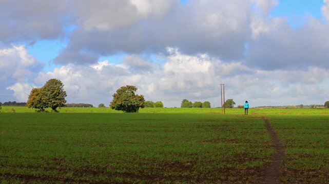 Sunny autumnal hue, in Sprotbrough fields.