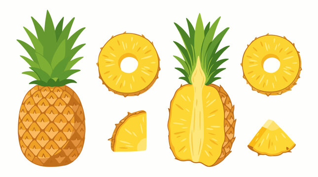 Fresh whole and sliced pineapple fruit vector set