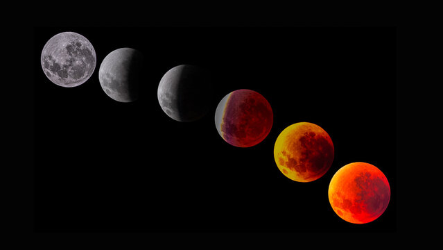 View of the lunar eclipse progression showing the moon transitioning to a deep red blood moon against a black night sky in Tauranga, Bay of Plenty Region, New Zealand.