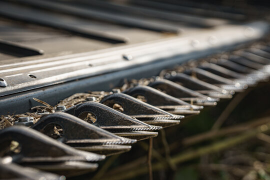 View of the sharp metal teeth of a combine harvester header during a canola harvest, Cherkasy, Cherkasy Oblast, Ukraine.