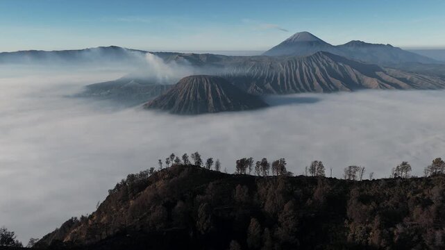 Tosari, Indonesia - 02 August 2026: Aerial view of Mount Bromo rising above a sea of clouds with volcanic landscape and sparse trees in the foreground.