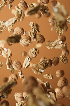 Falling Walnuts and Kernels on Warm Brown