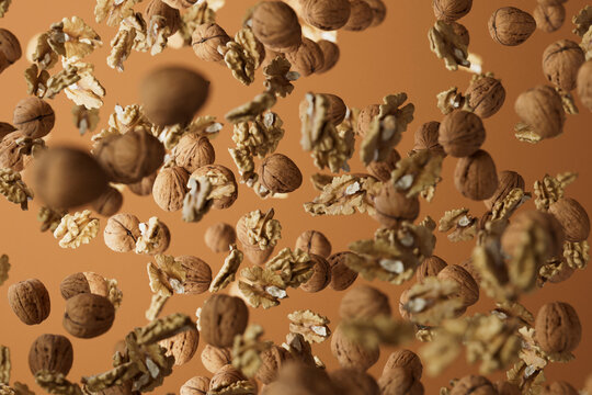 Scattered Flying Walnuts and Kernels on Brown