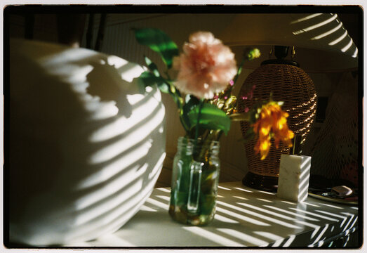 Flowers in a Jar With Shadows and Light in a Cozy Room