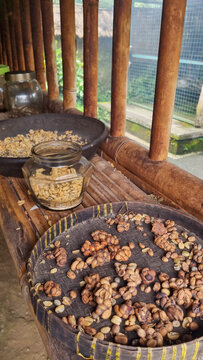 Fresh luwak coffee beans are dried on bamboo trays. Raw luwak coffee beans are ready to be processed. Fresh luwak coffee beans are expensive. Stock Photo