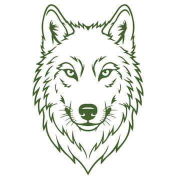 Wildlife nature illustration featuring a wolf face with sharp teeth