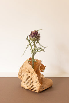 A single thistle bloom with wispy grasses in rustic paper wrap
