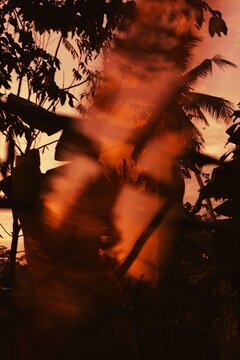 Abstract nature scene with light leak