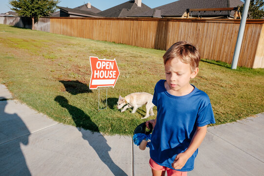 Suburban Neighborhood