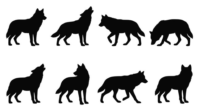 Set of wolf silhouettes in different poses