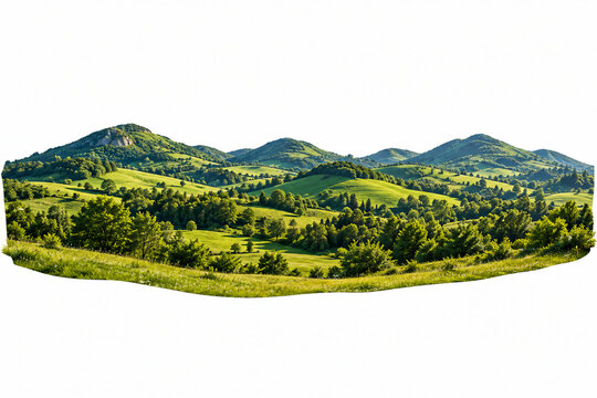 Rolling Green Hills Landscape