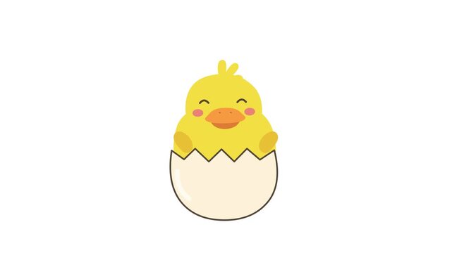 Cute Yellow Chick Hatching from an Egg Shell