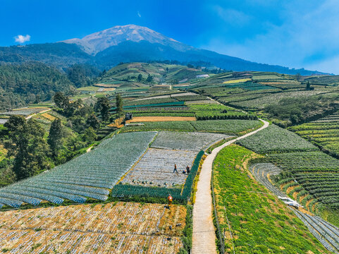 Aerial view of Linggarjati 2 agricultural terraces on Mount Sumbing slopes, with farmers and a winding path in Kecamatan Kaliangkrik, Jawa Tengah, Indonesia.