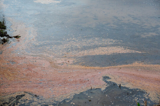 Toxic waste and foam floating on contaminated surface outdoors