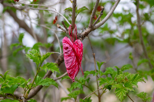 Handmade red heart decoration hanging on viburnum branch in spring garden