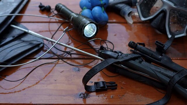 speargun, spearfishing at the sea