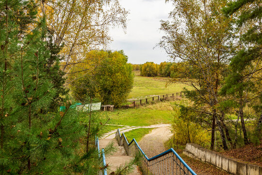 A concrete staircase as a pathway into an autumn park: clean, simple lines draw the eye deeper into the frame
