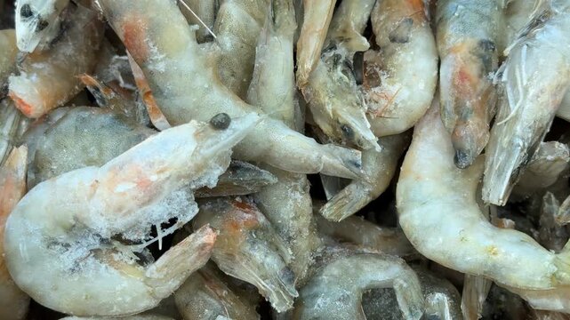 Frozen raw shrimp and prawns densely arranged as seafood ingredients, showing shells, tails, frost, ice crystals, and varied natural colors for culinary, food supply, market, and background